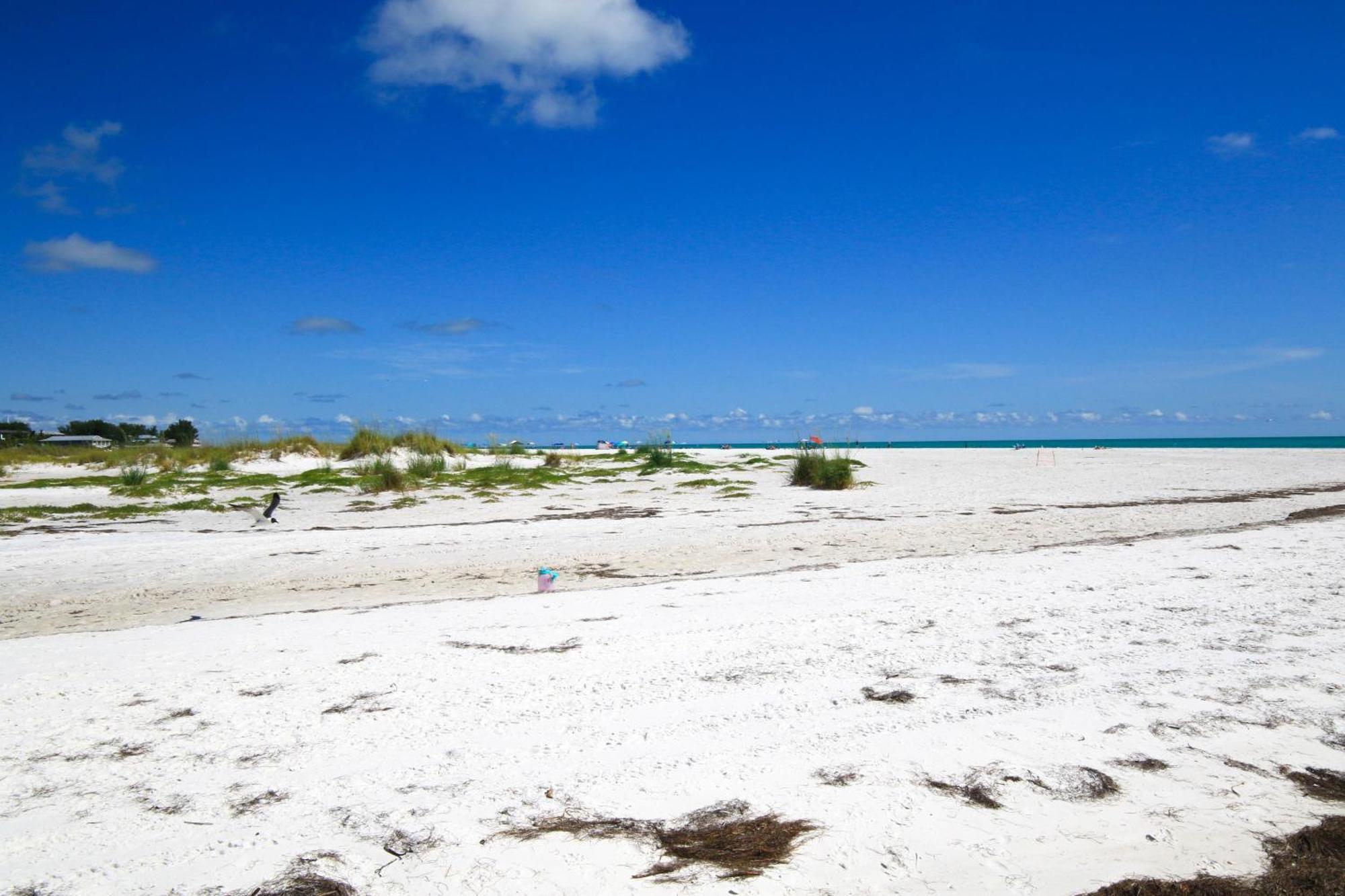 Anna Maria Island Runaway Tropical Dream-One Minute Walk To The Beach-Heated Pool Bradenton Beach Extérieur photo