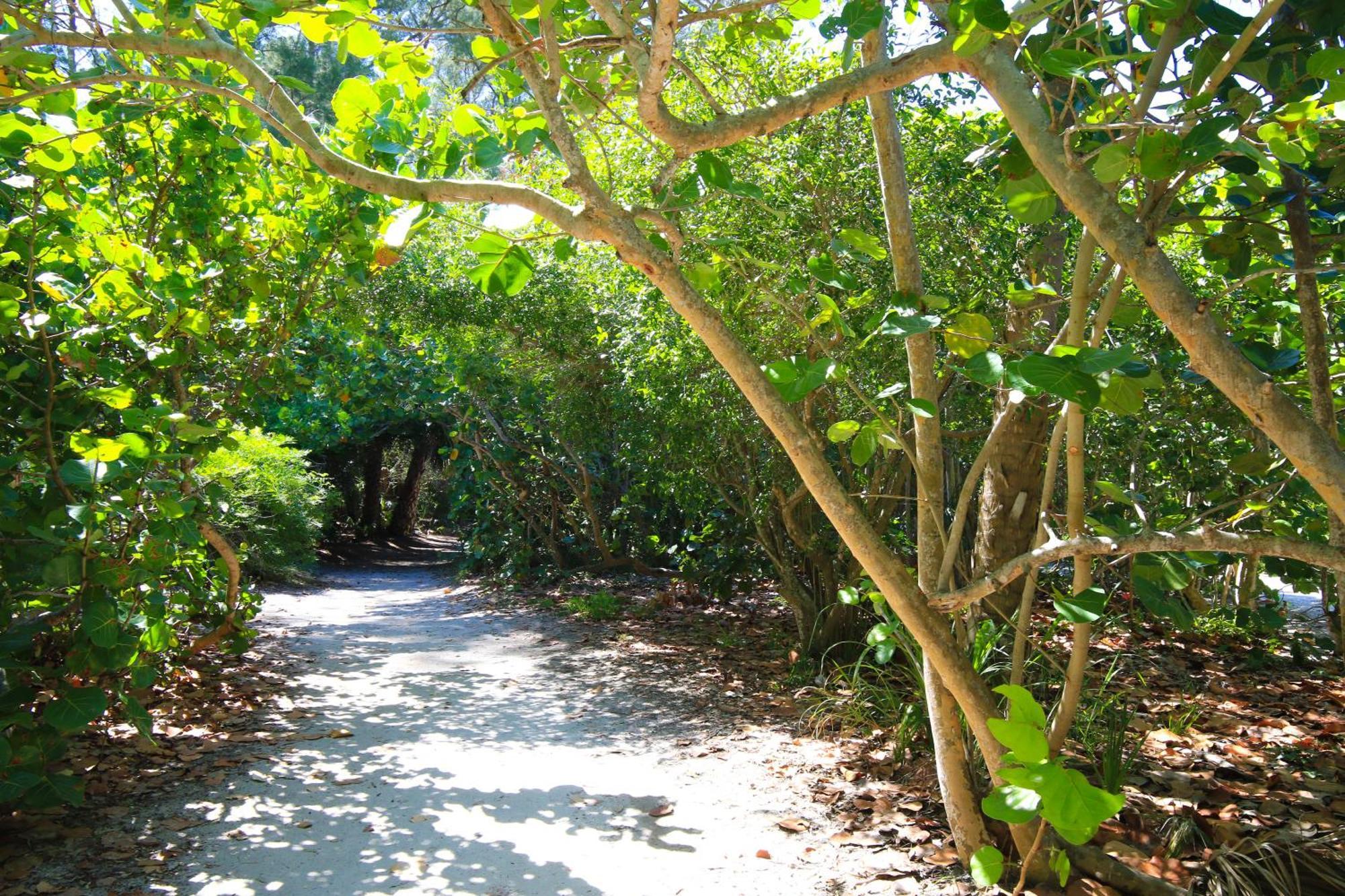 Anna Maria Island Runaway Tropical Dream-One Minute Walk To The Beach-Heated Pool Bradenton Beach Extérieur photo